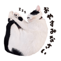 840677260