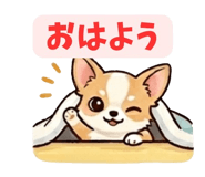 840677500