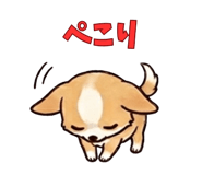840677508