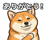 840677962