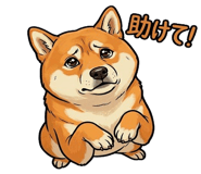 840677977