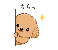 840678215