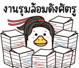 ลายที่ 13