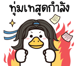 ลายที่ 17