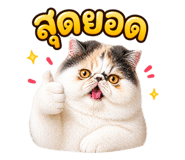 840680677
