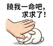 840681630