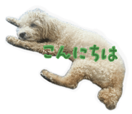 840682380