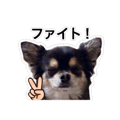 840682578