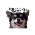 840682580