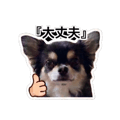 840682581