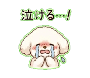 840682935