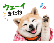 840683096