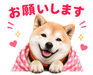 840683099