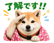 840683101