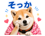 840683102