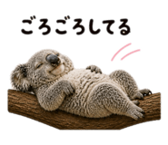 840683534