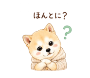 840683827