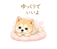 840683832