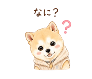 840683833