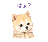 840683840