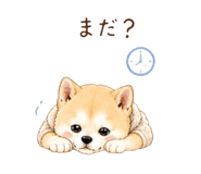 840683844
