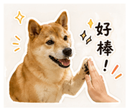 840684850