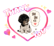 840684877