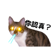 840684962