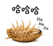 840685036