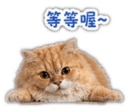 840685354