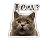 840685358