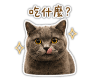 840685368