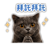 840685374