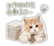 840685703