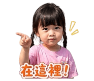 840686799