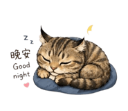 840686870