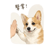 840686939
