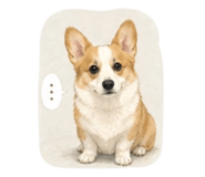 840686940