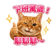 840687699