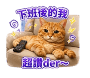 840687706