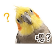 840687957
