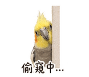 840687959