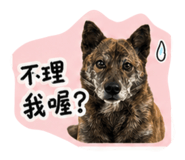 840688465