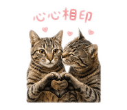 840688477