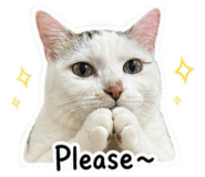 840688630