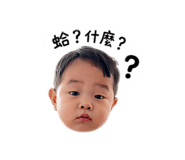 840688733