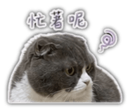 840689187