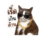 840689961