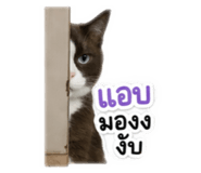 840689971