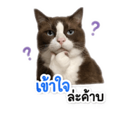 840689972